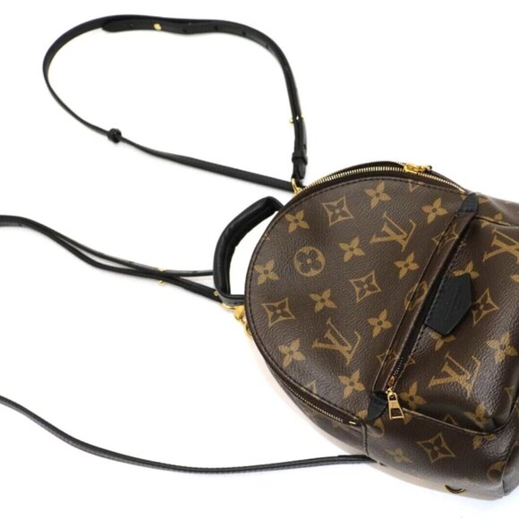 Louis Vuitton Palm Springs Backpack Mini Brown Canvas M44873 - Picture 10 of 14